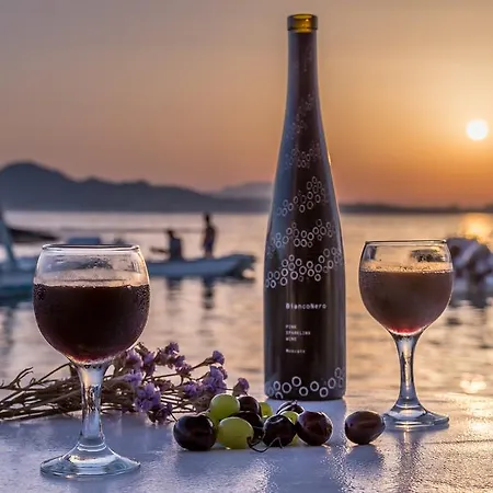 Fani Dream Semesterbostad