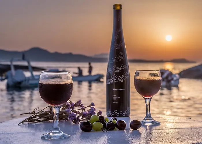 Fani Dream Dom wakacyjny